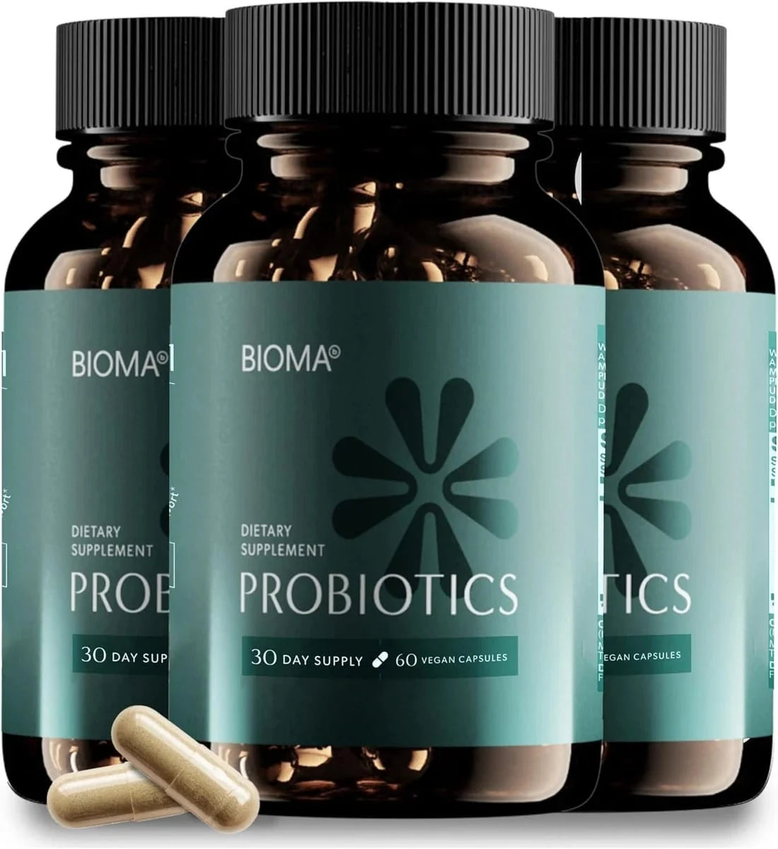 Probiotic Digestive Health Supplement – Gut Support Formula for Men & Women – 60 Capsules (3 Pack)