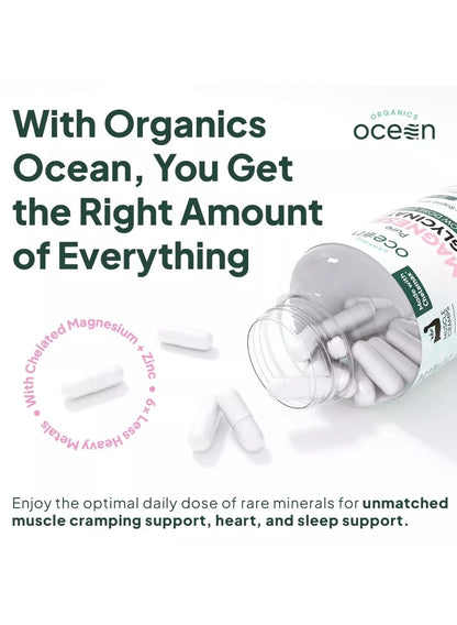 Organics Ocean Pure Magnesium Glycinate + Low Dose Zinc 90 Capsules | Chelated Sleep, Muscle &amp; Relaxation Supplement | 30-Day Supply | New